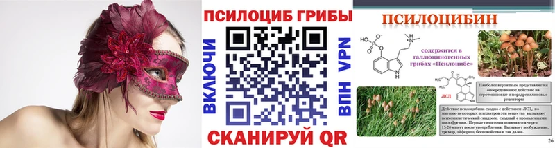 Псилоцибиновые грибы Magic Shrooms  дарнет шоп  Первомайск 